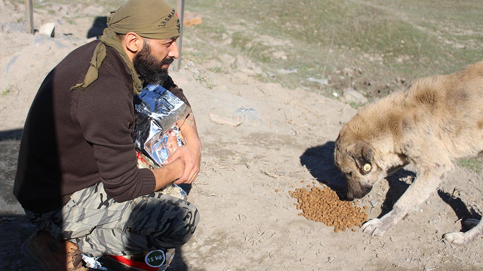 © 2016 Stichting Forest Angels