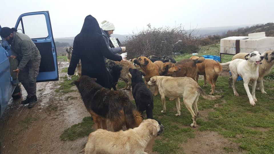 © 2017 Stichting Forest Angels