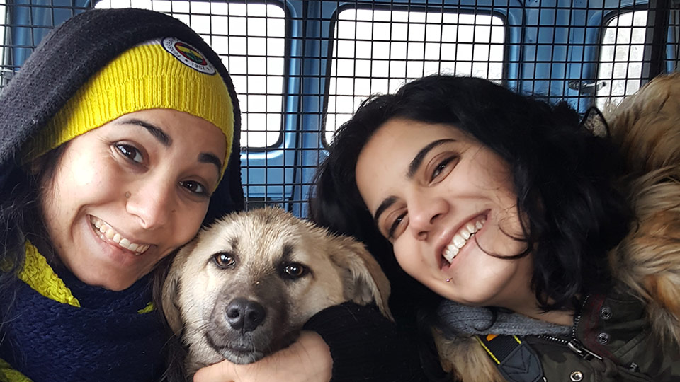 © 2017 Stichting Forest Angels