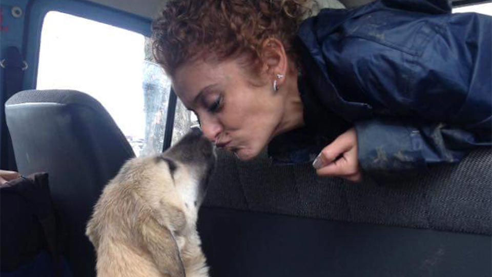 Stichting Forest Angels